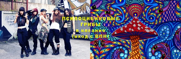 прущая мука Касимов