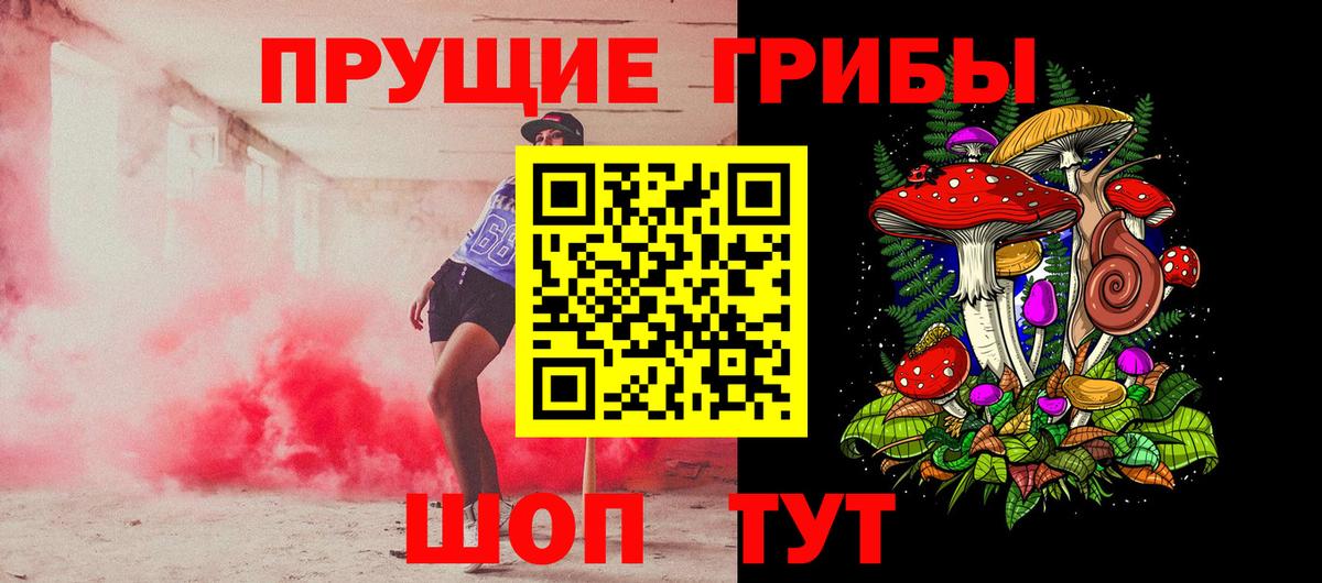 Галлюциногенные грибы Psilocybe  Псилоцибиновые грибы Psilocybe  Вход с VPN  Советск 
